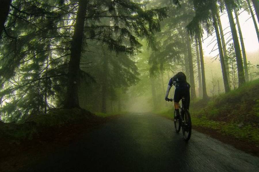 Rower górski MTB: Dlaczego rowery MTB są idealne do pokonywania trudnych tras i przygód off-road